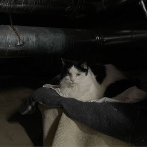 Meet your Posher, Ella